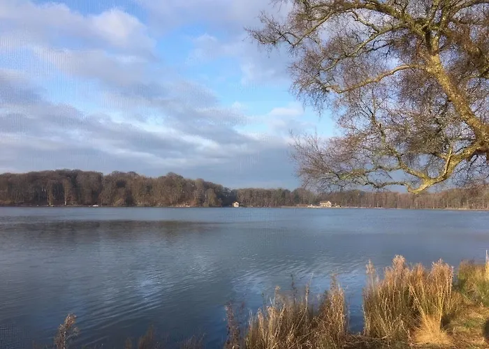 Wild Thyme 度假居 *